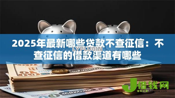 2025年最新哪些贷款不查征信：不查征信的借款渠道有哪些