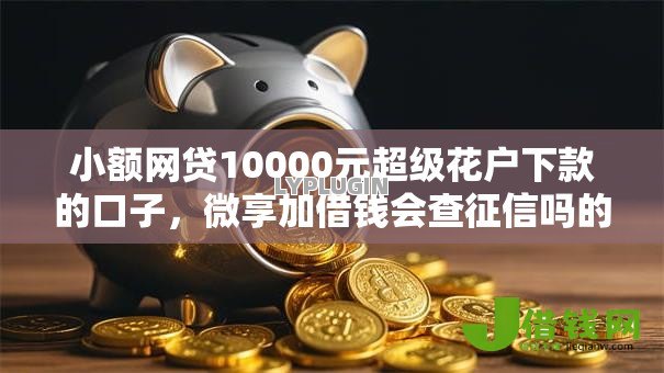 小额网贷10000元超级花户下款的口子,微享加借钱会查征信吗的5个平台介绍 小额网贷10000元超级花户下款的口子,微享加借钱会查征信吗的5个平台介绍
