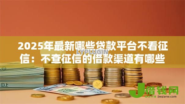 2025年最新哪些贷款平台不看征信:不查征信的借款渠道有哪些 2025年最新哪些贷款平台不看征信:不查征信的借款渠道有哪些
