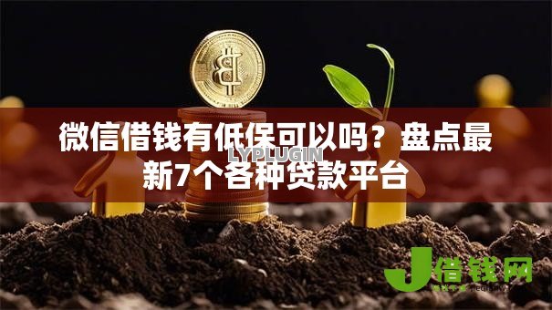 微信借钱有低保可以吗?盘点最新7个各种贷款平台 微信借钱有低保可以吗?盘点最新7个各种贷款平台