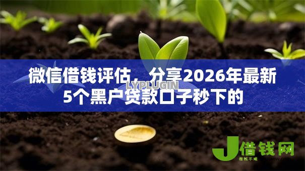 微信借钱评估，分享2026年最新5个黑户贷款口子秒下的