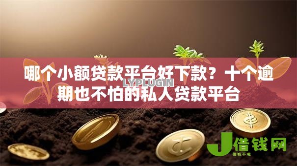 哪个小额贷款平台好下款?十个逾期也不怕的私人贷款平台 哪个小额贷款平台好下款?十个逾期也不怕的私人贷款平台