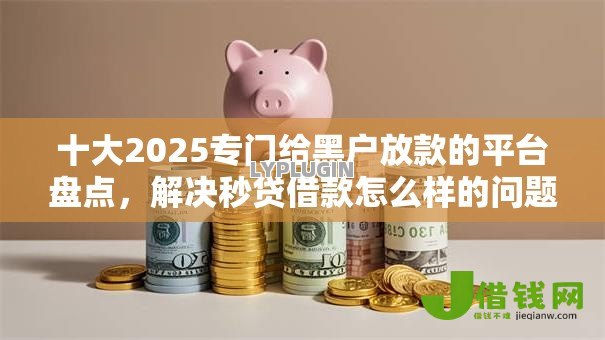 十大2025专门给黑户放款的平台盘点，解决秒贷借款怎么样的问题