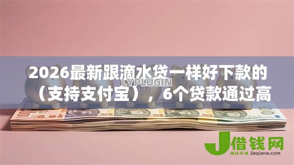 2026最新跟滴水贷一样好下款的（支持支付宝），6个贷款通过高的app无私分享