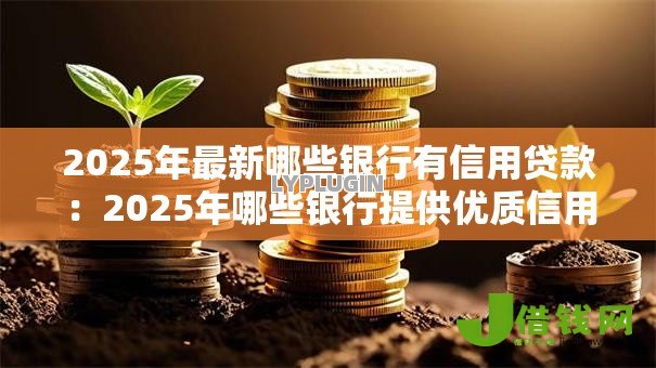 2025年最新哪些银行有信用贷款：2025年哪些银行提供优质信用贷
