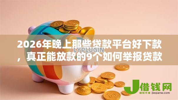 2026年晚上那些贷款平台好下款，真正能放款的9个如何举报贷款平台推荐