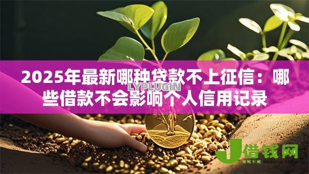 2025年最新哪种贷款不上征信:哪些借款不会影响个人信用记录 2025年最新哪种贷款不上征信:哪些借款不会影响个人信用记录