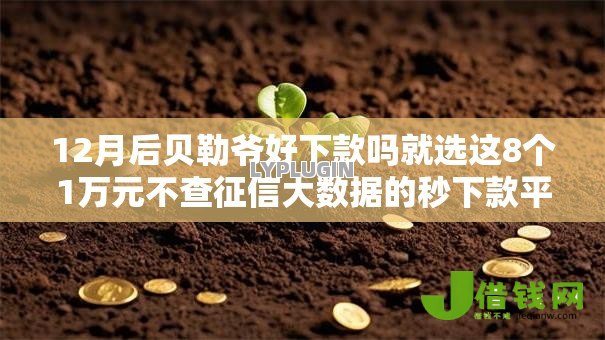 12月后贝勒爷好下款吗就选这8个1万元不查征信大数据的秒下款平台