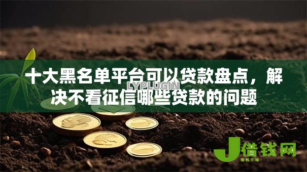 十大黑名单平台可以贷款盘点,解决不看征信哪些贷款的问题 十大黑名单平台可以贷款盘点,解决不看征信哪些贷款的问题