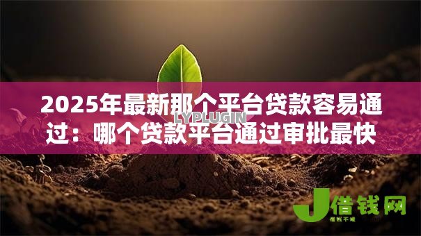 2025年最新那个平台贷款容易通过：哪个贷款平台通过审批最快