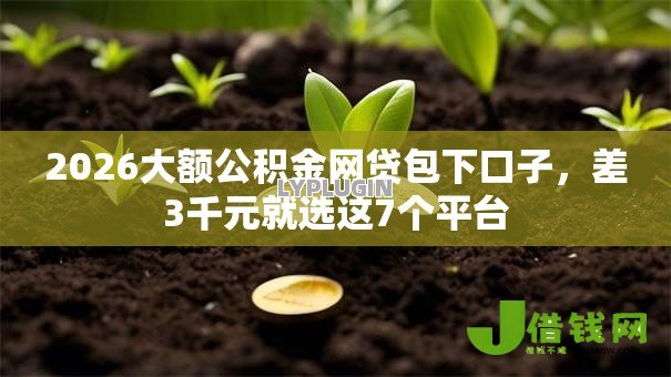 2026大额公积金网贷包下口子,差3千元就选这7个平台 2026大额公积金网贷包下口子,差3千元就选这7个平台