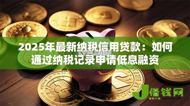 2025年最新纳税信用贷款:如何通过纳税记录申请低息融资 2025年最新纳税信用贷款:如何通过纳税记录申请低息融资