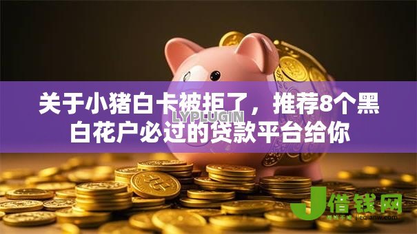 关于小猪白卡被拒了,推荐8个黑白花户必过的贷款平台给你 关于小猪白卡被拒了,推荐8个黑白花户必过的贷款平台给你