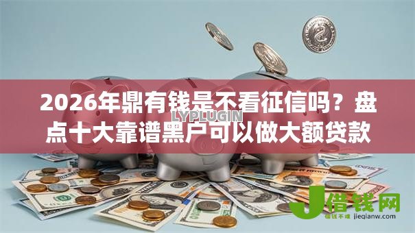 2026年鼎有钱是不看征信吗?盘点十大靠谱黑户可以做大额贷款app 2026年鼎有钱是不看征信吗?盘点十大靠谱黑户可以做大额贷款app