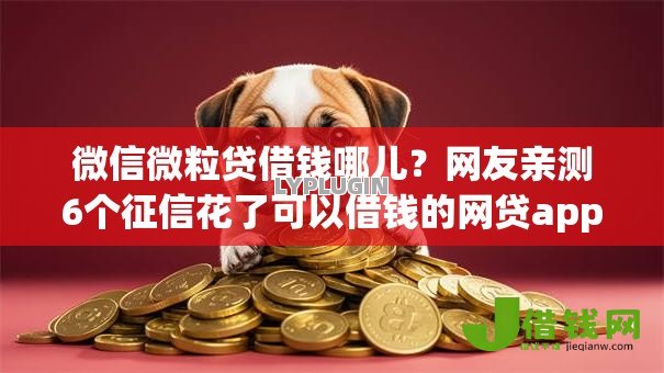 微信微粒贷借钱哪儿?网友亲测6个征信花了可以借钱的网贷app盘点 微信微粒贷借钱哪儿?网友亲测6个征信花了可以借钱的网贷app盘点