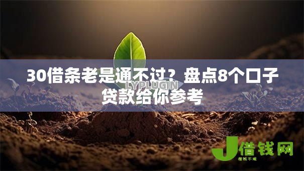 30借条老是通不过?盘点8个口子贷款给你参考 30借条老是通不过?盘点8个口子贷款给你参考