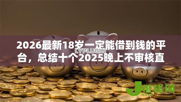 2026最新18岁一定能借到钱的平台，总结十个2025晚上不审核直接放款口子！