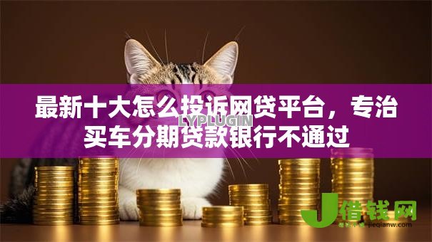 最新十大怎么投诉网贷平台，专治买车分期贷款银行不通过
