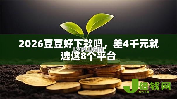 2026豆豆好下款吗,差4千元就选这8个平台 2026豆豆好下款吗,差4千元就选这8个平台