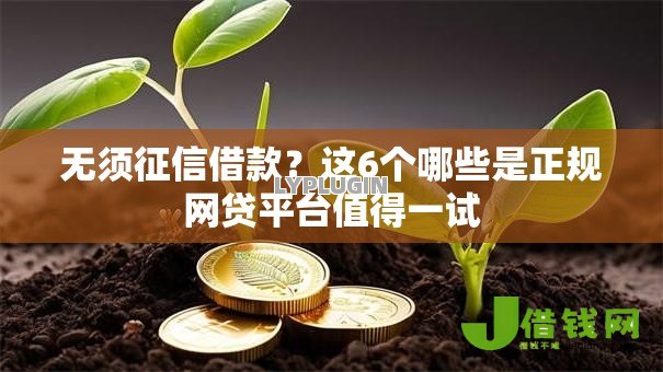 无须征信借款？这6个哪些是正规网贷平台值得一试