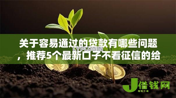 关于容易通过的贷款有哪些问题,推荐5个最新口子不看征信的给你 关于容易通过的贷款有哪些问题,推荐5个最新口子不看征信的给你