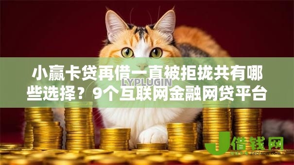 小赢卡贷再借一直被拒拢共有哪些选择?9个互联网金融网贷平台详解 小赢卡贷再借一直被拒拢共有哪些选择?9个互联网金融网贷平台详解