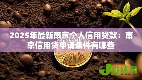 2025年最新南京个人信用贷款：南京信用贷申请条件有哪些