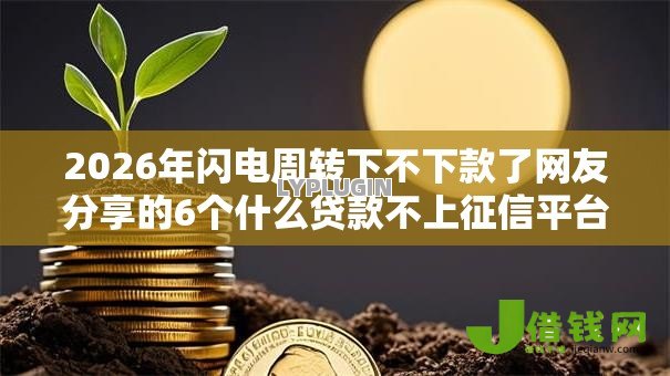 2026年闪电周转下不下款了网友分享的6个什么贷款不上征信平台我觉得不错！