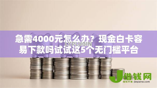 急需4000元怎么办?现金白卡容易下款吗试试这5个无门槛平台 急需4000元怎么办?现金白卡容易下款吗试试这5个无门槛平台