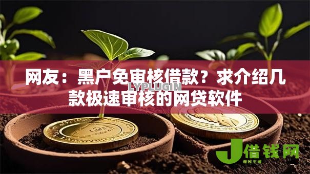 网友：黑户免审核借款？求介绍几款极速审核的网贷软件