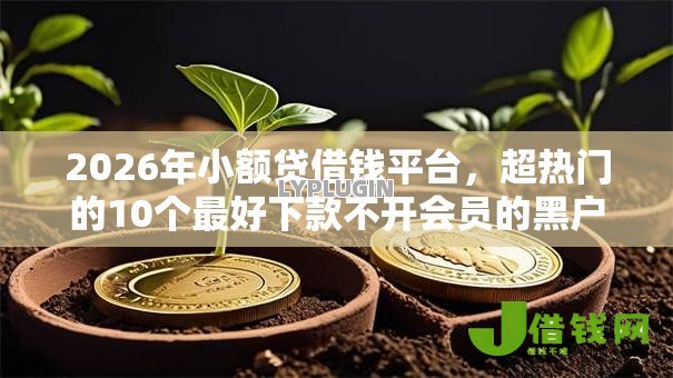 2026年小额贷借钱平台,超热门的10个最好下款不开会员的黑户借钱平台推荐 2026年小额贷借钱平台,超热门的10个最好下款不开会员的黑户借钱平台推荐