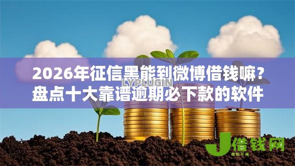 2026年征信黑能到微博借钱嘛？盘点十大靠谱逾期必下款的软件