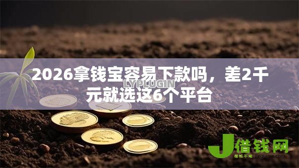2026拿钱宝容易下款吗，差2千元就选这6个平台