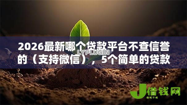 2026最新哪个贷款平台不查信誉的（支持微信），5个简单的贷款平台无私分享