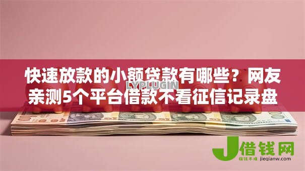 快速放款的小额贷款有哪些？网友亲测5个平台借款不看征信记录盘点