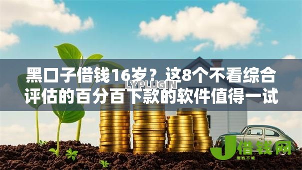 黑口子借钱16岁？这8个不看综合评估的百分百下款的软件值得一试