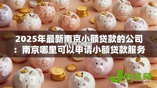 2025年最新南京小额贷款的公司:南京哪里可以申请小额贷款服务 2025年最新南京小额贷款的公司:南京哪里可以申请小额贷款服务