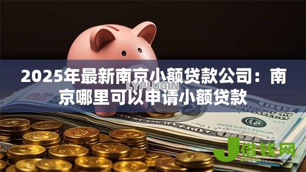 2025年最新南京小额贷款公司:南京哪里可以申请小额贷款 2025年最新南京小额贷款公司:南京哪里可以申请小额贷款