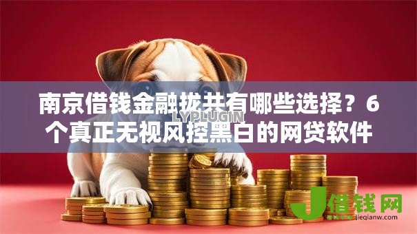 南京借钱金融拢共有哪些选择?6个真正无视风控黑白的网贷软件详解 南京借钱金融拢共有哪些选择?6个真正无视风控黑白的网贷软件详解