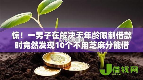 惊!一男子在解决无年龄限制借款时竟然发现10个不用芝麻分能借的平台,事后分享了出来 惊!一男子在解决无年龄限制借款时竟然发现10个不用芝麻分能借的平台,事后分享了出来