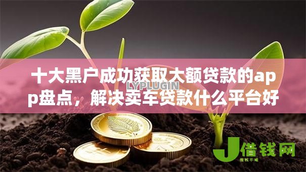 十大黑户成功获取大额贷款的app盘点,解决卖车贷款什么平台好下款的问题 十大黑户成功获取大额贷款的app盘点,解决卖车贷款什么平台好下款的问题