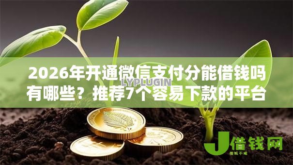 2026年开通微信支付分能借钱吗有哪些?推荐7个容易下款的平台 2026年开通微信支付分能借钱吗有哪些?推荐7个容易下款的平台