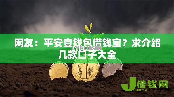 网友：平安壹钱包借钱宝？求介绍几款口子大全