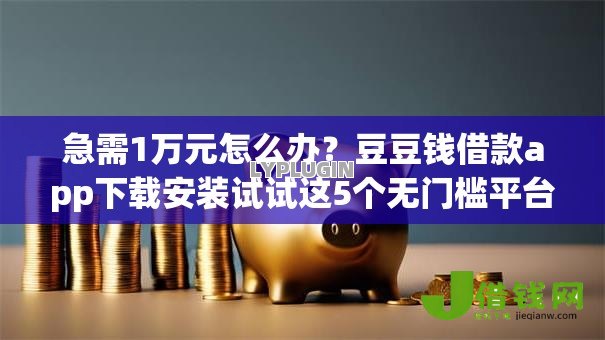 急需1万元怎么办？豆豆钱借款app下载安装试试这5个无门槛平台