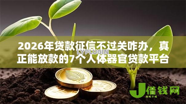 2026年贷款征信不过关咋办，真正能放款的7个人体器官贷款平台推荐