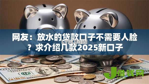 网友：放水的贷款口子不需要人脸？求介绍几款2025新口子