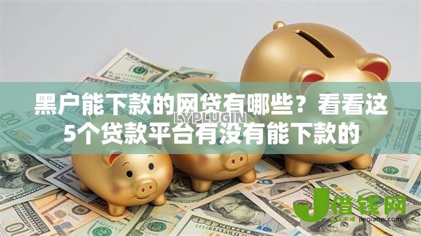 黑户能下款的网贷有哪些？看看这5个贷款平台有没有能下款的