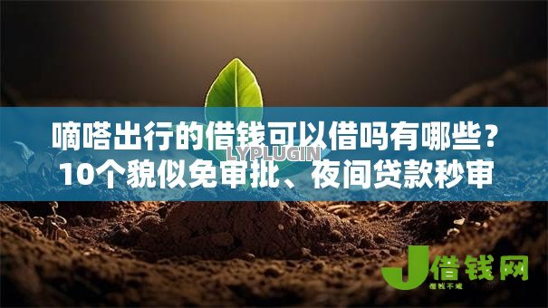 嘀嗒出行的借钱可以借吗有哪些?10个貌似免审批、夜间贷款秒审核秒下款的平台合集 嘀嗒出行的借钱可以借吗有哪些?10个貌似免审批、夜间贷款秒审核秒下款的平台合集