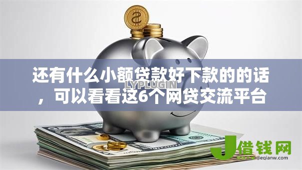 还有什么小额贷款好下款的的话，可以看看这6个网贷交流平台