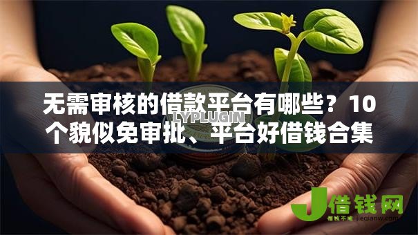无需审核的借款平台有哪些?10个貌似免审批、平台好借钱合集 无需审核的借款平台有哪些?10个貌似免审批、平台好借钱合集